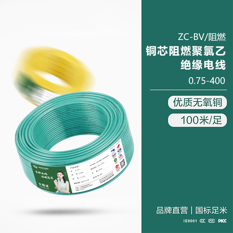 ZC-BV/阻燃 銅芯阻燃聚氯乙絕緣電線0.75-400